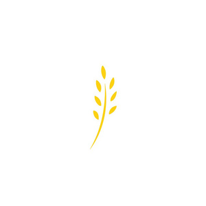 小麦大麦或黑麦的耳朵。 金色黄色图标隔离在白色上。 生态按钮。 农业自然坚定生态健康有机和农场新鲜食品的象征。 矢量插图