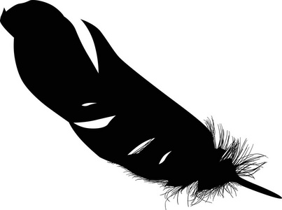白色背景的单黑色羽毛插图