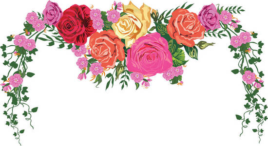 插图与玫瑰花框架装饰白色背景