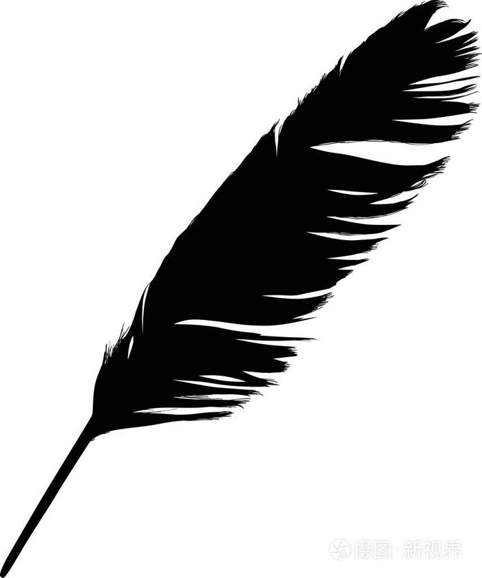 白色背景的单黑色羽毛插图