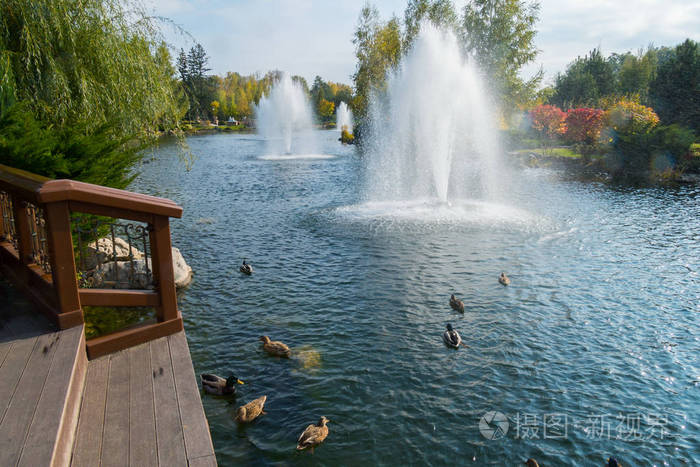 在豪华透明喷泉和花坛上生长的美丽花朵的背景下, 池塘岸边附近的游客