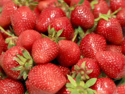美丽的成熟草莓浆果吃