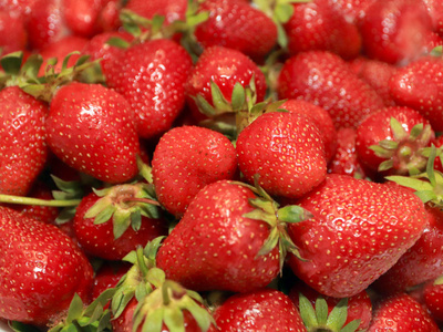 美丽的成熟草莓浆果吃