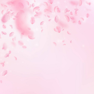 樱花花瓣落下。浪漫的粉红色花朵落下雨。粉红色方形背景上的飞花瓣