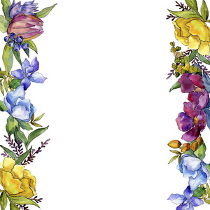 植物花.框架边框点缀广场.背景,纹理,包装图案,框架或边框的野花.照片