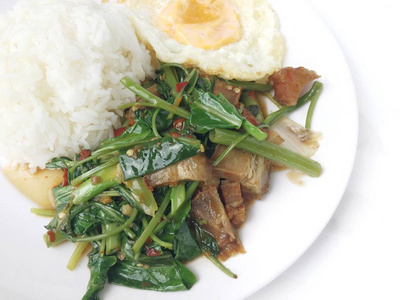 炒凯地和脆猪肉炒米饭与米饭在白色的盘子在白色的背景。 泰国式食物。
