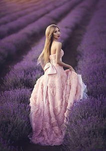 美丽的女孩在薰衣草领域日落。一个穿着华丽的粉红色连衣裙的女人走在薰衣草的花丛中。普 罗 旺 斯