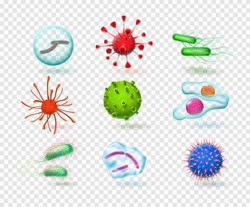 逼真的病毒。细菌微生物。3d. 显微感染细胞。矢量隔离集