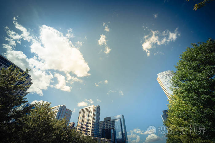 美丽的绿色城市公园在达拉斯市中心阳光明媚的日子低角度观树茂盛的