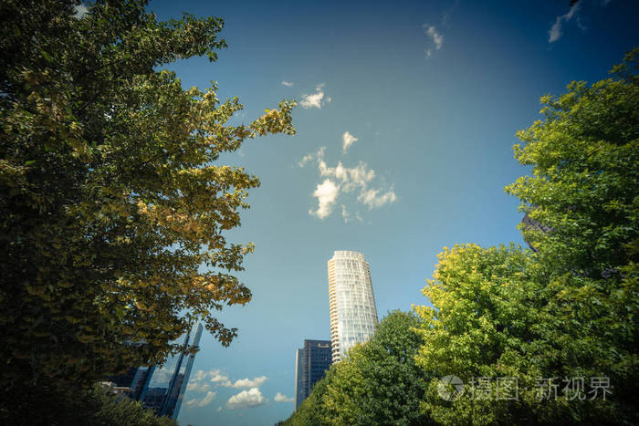 美丽的绿色城市公园在达拉斯市中心阳光明媚的日子.