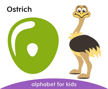 绿色字母o和可爱的鸵鸟. 英语字母与动物. 白色背景上孤立的卡通人物.