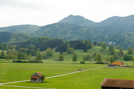 阿尔卑斯山的风景与新鲜的绿色草地和白雪覆盖的山峰在背景巴伐利亚德国