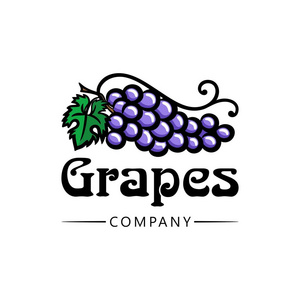 水果店logo葡萄标志.商店市场商店和公司的鲜艳标志.商业和网络图标.