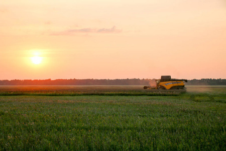 联合收割机在麦田上的作用。 收获是在日落时从田野采集成熟作物的过程