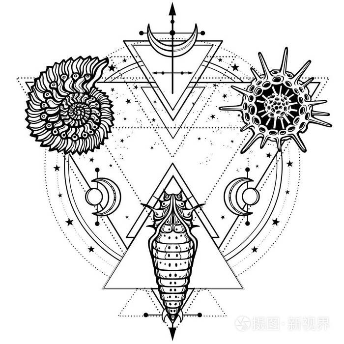 神秘绘图 贝壳幼虫分子神圣几何 深奥的神秘主义神秘主义 在白色背景上隔离的矢量插图 打印t恤卡 插画 正版商用图片12c5at 摄图新视界