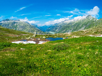 瑞士的夏天风景在 Grimsel 附近自然通过