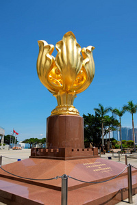 紫荆花广场图片