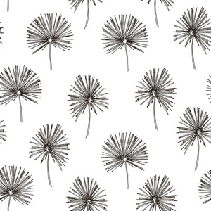 热带植物花卉无缝丛林格局。打印矢量背景时尚夏日壁纸棕榈叶黑色和白色的灰色风格