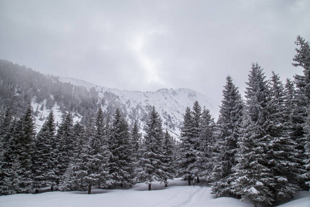 美丽的冬季高山景色与清新的雪雾云