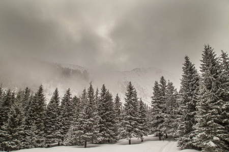 美丽的冬季高山景色与清新的雪雾云