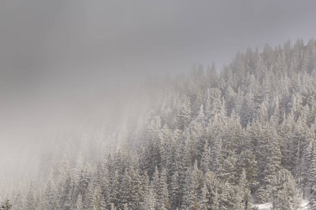 美丽的冬季高山景色与清新的雪雾云