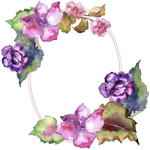 粉红色和紫色的加德尼亚。 花卉植物花。 框架边框装饰广场。 背景纹理包装图案框架或边框的水花野花。