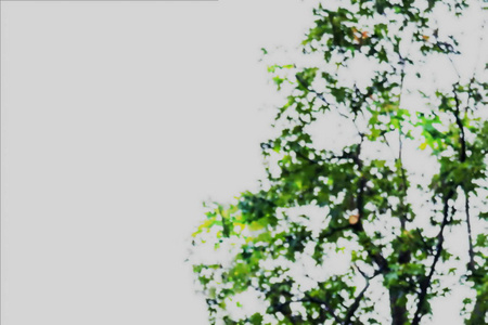 绿树叶背景的模糊抽象图像