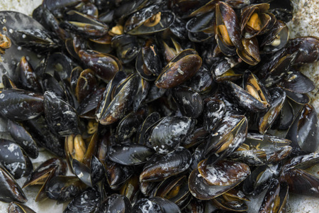 户外海鲜烧烤.野餐健康食品, 贻贝在贝壳.