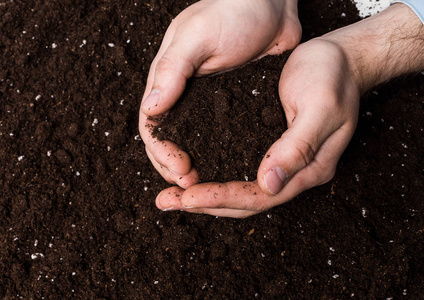 地球一小时日接近一小撮肥沃的棕壤照片