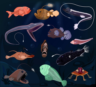 深海生物图片 深海生物素材 深海生物插画 摄图新视界 深海生物图片 深海生物素材 深海生物插画 摄图新视界