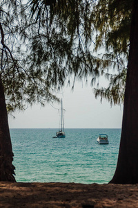 龙骨船停泊在岸边，从森林海滩观看。带森林树和帆船的海景。有游艇和树的宁静海滩。普吉岛奈阳海滩树架上的帆船或龙骨船