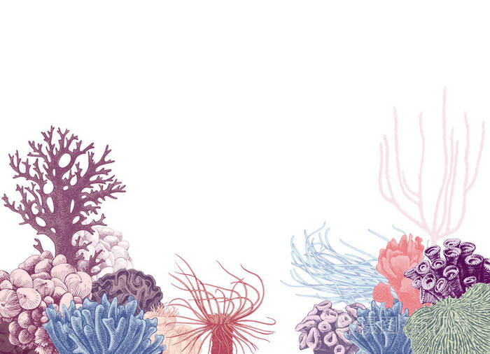 带彩色珊瑚礁的矢量背景插画-正版商用图片12d6bu-摄图新视界