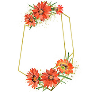 白花菊图片 白花菊素材 白花菊插画 摄图新视界