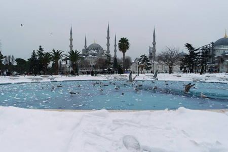 苏丹艾哈迈德清真寺在一个下雪的日子。 土耳其伊斯坦布尔苏丹。