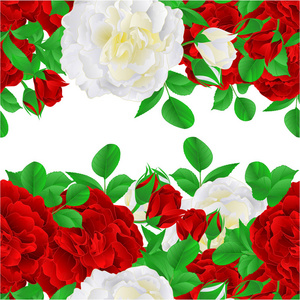 花横向边框无缝背景红白玫瑰，带芽和叶子，复古矢量插图，用于室内设计，艺术品，菜肴，服装，贺卡，包装