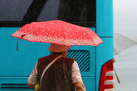 雨伞是一种用来保护一个人免受雨水或阳光照射的装置。