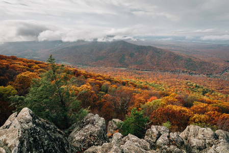 从乌鸦栖息的秋景俯瞰弗吉尼亚的蓝色山脊公园。