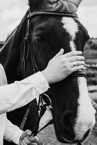 浅褐色马的枪口男人牵着马的缰绳,抚摸着枪口,把门外的东西关上照片