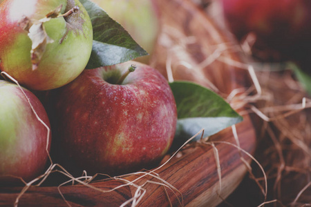 秋天的甜苹果在一个大碗里，在一个老式的木制背景上放着干草，新鲜收获