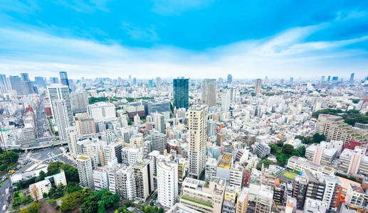 商业文化概念全景现代城市天际线鸟眼鸟眼鸟瞰东京塔在戏剧性的阳光和清晨蓝色多云的天空下日本东京