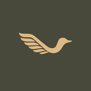 野生动物园鸟图片