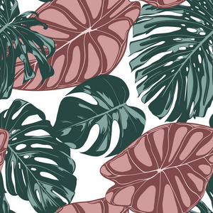 热带丛林树叶。矢量无缝模式。蔓或龟背竹植物重复背景为纺织品, 墙纸, 夏天装饰。海和龟背竹叶的花式无缝图案