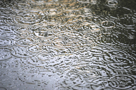 背景与雨滴的图像