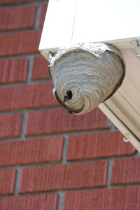 颐和园屋檐上图片
