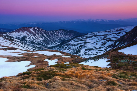 有岩石和黄草的草地。高山高峰的景观覆盖着雪，粉红色的日出在地平线上。春天美好的一天。