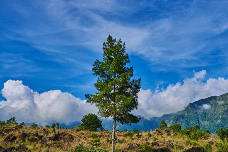 明亮的灯光下令人敬畏的山谷. 野生区域的图片照片