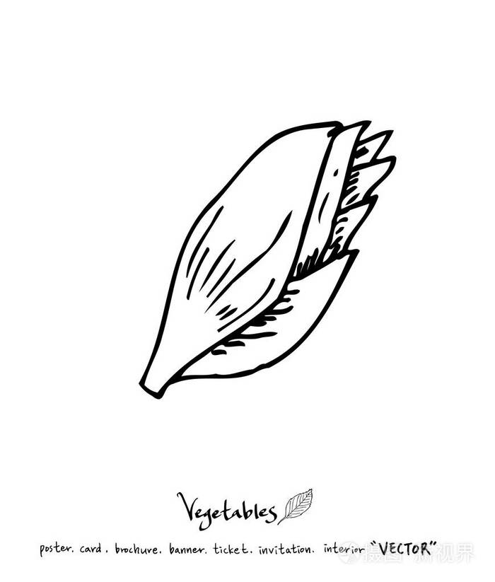 手绘食物成分蔬菜水果插图矢量插画-正版商用图片12fyif-摄图新视界