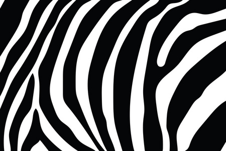 斑马纹动物皮肤老虎条纹抽象图案线背景织物. 惊人的手绘矢量插图.