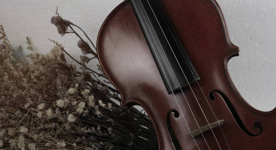 木制小提琴的特写前侧放在一组干燥的流动古董和艺术风格的暖色调背景旁边