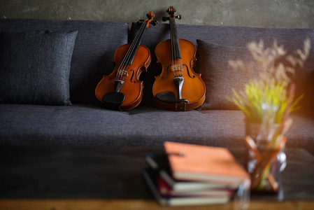 木制小提琴和中提琴放在沙发上